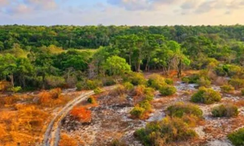 Tiềm năng phát triển du lịch nhờ dòng suối kỳ lạ chia đôi nóng lạnh: Cách Mũi Né 60km, có thể luộc chín trứng gà trong 10 phút