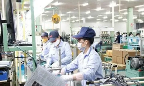 Từ giờ, ép nhân viên tăng ca, công ty có thể bị phạt 50 triệu đồng, trừ những trường hợp này