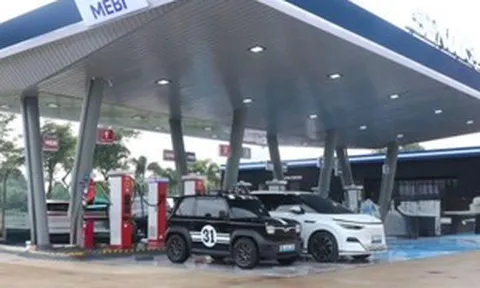 Sở hữu trữ lượng niken lớn nhất hành tinh, quốc gia láng giềng tham vọng làm ô tô nội địa quy mô lớn dù chậm chân hơn Việt Nam