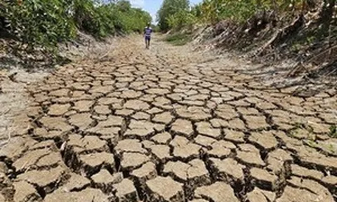 3 tháng cuối năm siêu El Nino cực mạnh gây sức ép lên cả nông nghiệp, nước sinh hoạt, thủy lợi và sản xuất điện, nơi nào chịu ảnh hưởng nặng nhất?