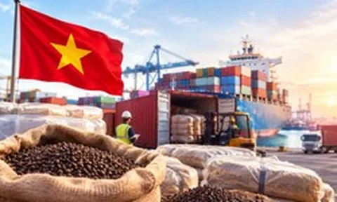 Một mặt hàng VN phải nhập khẩu cực nhiều dù xuất khẩu top đầu thế giới, phủ sóng hơn 125 quốc gia