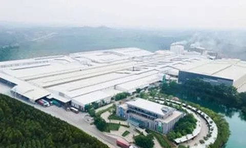 AMY Grupo hoàn tất IPO, dùng phần lớn tiền huy động để trả nợ ngân hàng
