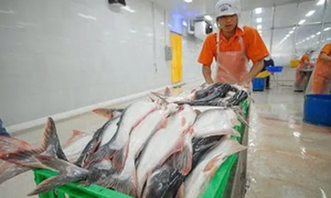 Một 'mỏ tiền' xuất khẩu của Việt Nam thu hơn 100 triệu USD từ 2 thị trường: Khách châu Âu mua ngày càng mạnh, 'mối quen' bên kia Đại Tây Dương bất ngờ hụt hơi