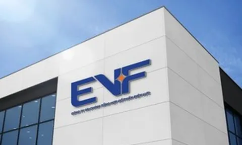 EVF nhận khoản vay 15 triệu USD từ định chế tài chính của Phần Lan