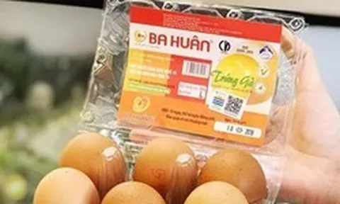 BIDV rao bán nợ hơn 600 tỷ của Công ty trứng gà Ba Huân, thế chấp bằng hàng chục ha đất, nhà máy, trứng, gà, thức ăn chăn nuôi,...