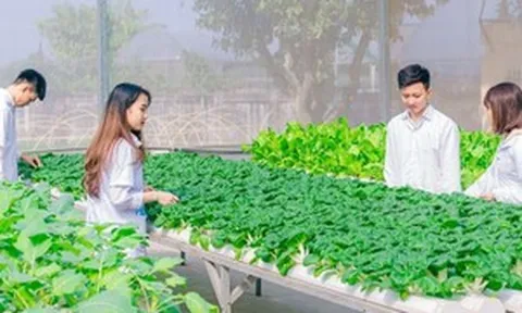 Ngành học lương tới 35 triệu đồng/tháng: Sẽ đón đầu tương lai, tốt nghiệp được trải thảm đỏ, điểm chuẩn chỉ từ 16 điểm