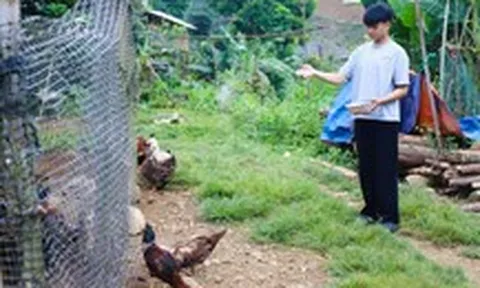 Mồ côi vì lũ cuốn mẹ 4km, tân SV dân tộc Thái về học thủ đô, chưa quen thang máy đã đi làm thêm