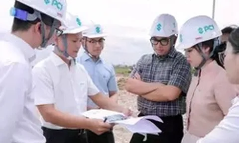 Biến động cổ phiếu công ty có nữ chủ tịch 27 tuổi
