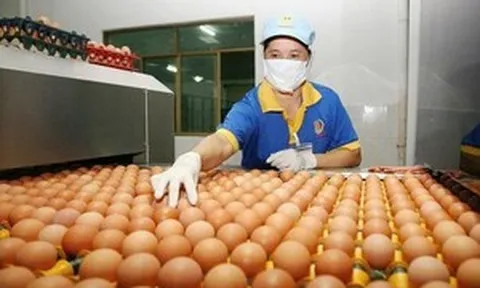 BIDV, Agribank rao bán tài sản của loạt doanh nghiệp trứng gà sạch