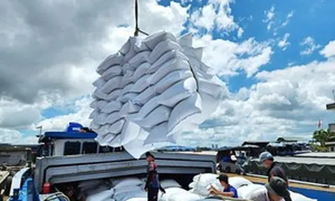 Việt Nam thu về hơn 3,11 tỷ USD từ việc xuất khẩu gạo, lộ diện quốc gia bí ẩn tăng mua gần 100 lần