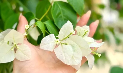 Nỗi ám ảnh của người vợ mỗi khi được chồng... ôm