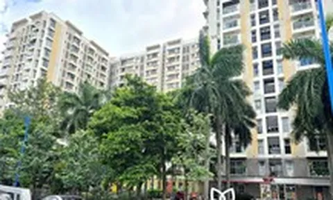 Ở chung cư nhiều năm, chưa từng được thông báo nộp thuế đất