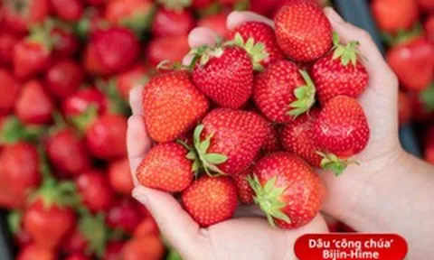 Hành trình 13 năm biến thứ quả bình thường thành ‘công chúa xinh đẹp’, giới nhà giàu sẵn sàng chi số tiền lớn để sở hữu