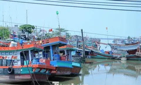 Nhiều thiếu sót về chống khai thác thủy sản bất hợp pháp tại Vĩnh Long