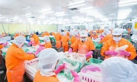 Nam Việt chia cổ tức bằng tiền mặt tỷ lệ 10%