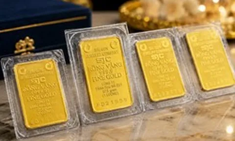 Giá vàng 9999 SJC hôm nay 12/10/2026 bao nhiêu 1 chỉ?