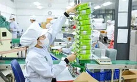 Ngày Doanh nhân Việt Nam 13-10: Tính toán giảm thủ tục, hỗ trợ voucher cho doanh nghiệp