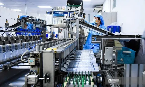 Kinh tế toàn cầu bất ổn, niềm tin của doanh nghiệp châu Âu vào Việt Nam vẫn cao