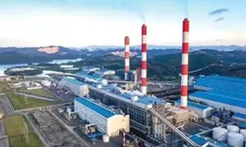 Ông Lê Việt Cường bị bắt, công ty phát thông báo mới