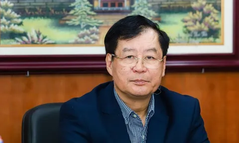 Pháp luật mở đường, doanh nghiệp bứt phá