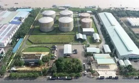 Samland và Dầu khí Nam Sông Hậu bị hủy tư cách công ty đại chúng