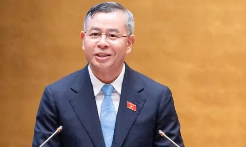 "Doanh nghiệp một người" không bắt buộc phải có Chủ tịch, Kế toán trưởng
