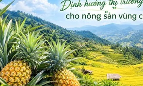 Định hướng thị trường cho nông sản vùng cao