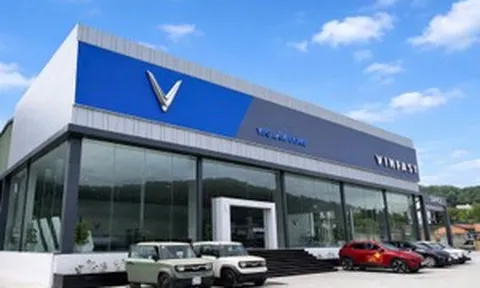Nhà phân phối lớn nhất của Mercedes-Benz Việt Nam 'đổi vận' nhờ bán xe VinFast, báo lãi gấp 3,5 lần
