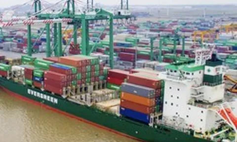 Viconship muốn cho công ty con vay 120 tỷ đồng