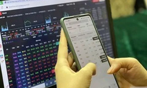Cổ phiếu VPG bị chuyển sang diện hạn chế giao dịch