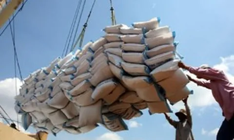 Việt Nam trúng thầu 10.000 tấn gạo tấm hạt dài tại quốc gia vốn chỉ ưa dùng loại gạo hạt tròn