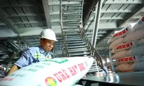 Đề xuất giảm thuế xuất khẩu phân bón từ 5% xuống 0%
