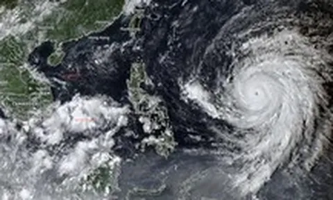 Gió siêu bão Champi có thể mạnh hơn 200km/h, xác suất vào Biển Đông ra sao?