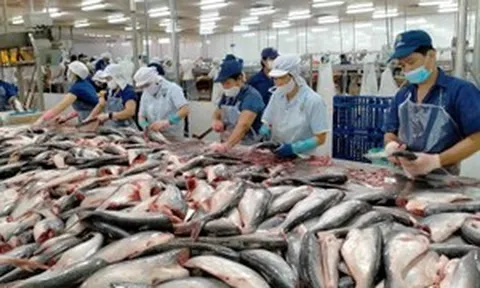 Từng bị cạnh tranh gay gắt trên toàn cầu, mặt hàng này thu về 1,7 tỷ USD chỉ trong 9 tháng nhờ sự bùng nổ của thị trường Nam Mỹ