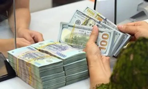 Một số người tại Việt Nam nhận gần 7 tỷ USD trong 9 tháng đầu năm