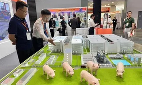 Hơn 300 thương hiệu từ 40 quốc gia quy tụ tại TP. HCM: Khách tham quan ngỡ ngàng trước mô hình 'chung cư cho heo'