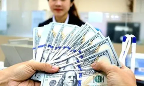 Tỷ giá hôm nay 23/10: USD giảm thêm 10 đồng, tỷ giá trung tâm đi xuống