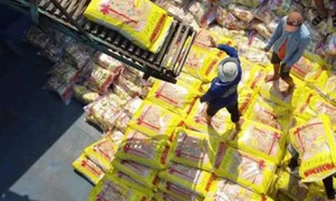 9 tháng đầu năm 2026, Singapore nhập gần 119.000 tấn gạo từ Việt Nam tăng 5,2% so với cùng kỳ đi ngược xu hướng toàn thị trường