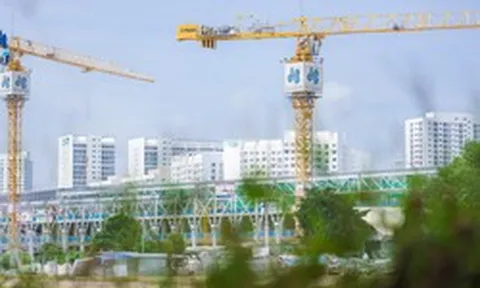 Xây dựng Hòa Bình miễn nhiệm một Phó Tổng Giám đốc