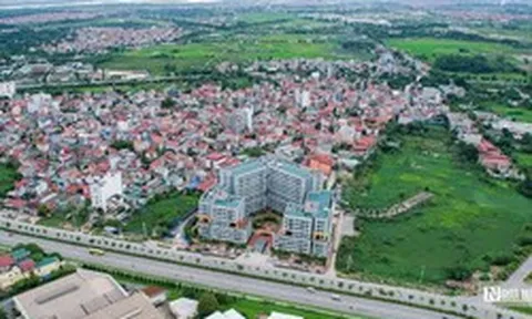 Hà Nội giao gần 4.600m2 đất tại Đông Anh cho Vinadic làm dự án