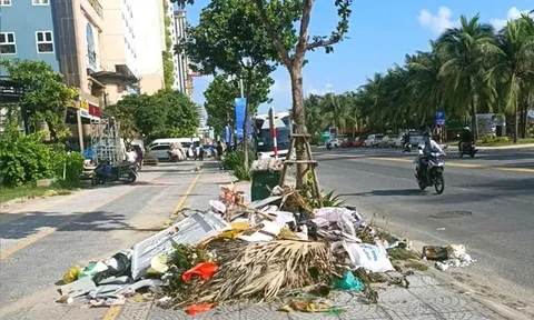 Đà Nẵng: Đóng tiền thu gom rác đầy đủ, vì sao nhiều ngày rác vẫn nằm trước nhà?