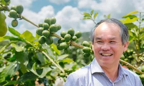 Bầu Đức chốt hợp đồng 1.000 tấn cà phê sang Trung Quốc thu về hàng trăm tỷ đồng