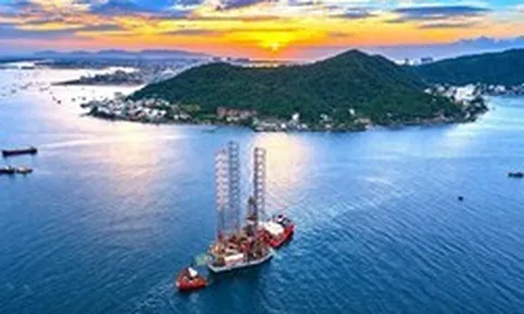 Quái vật biển khổng lồ có khả năng khoan sâu hơn 10 km vượt 13.400 km từ châu Phi về Việt Nam