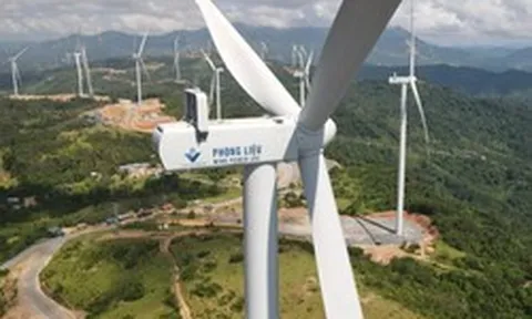 TST, Điện gió Phong Liệu... nhận án phạt từ UBCKNN