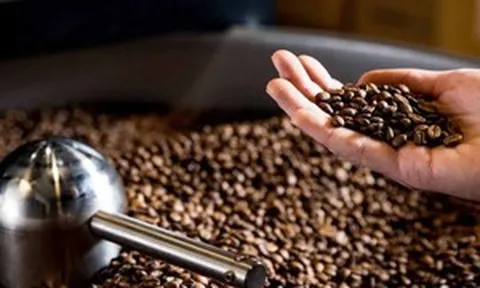 Đưa cà phê giảm phát thải vào chuỗi giá trị toàn cầu