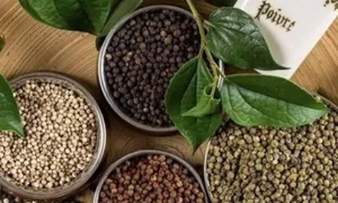Xuất khẩu vượt 1,39 tỷ USD, vì sao 'vàng đen' Việt Nam càng bán nhiều giá lại càng giảm?
