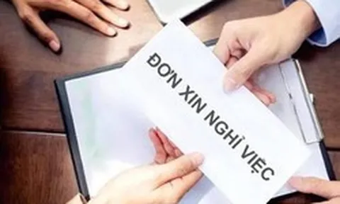 Hơn 1.000 cán bộ nhân viên tại một ngân hàng nghỉ việc, chiếm gần 30% tổng quy mô nhân sự