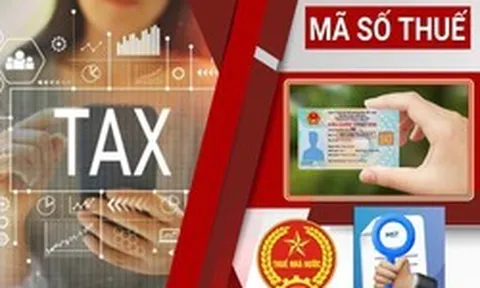 Nóng: Thuế Hà Nội công bố 3 kênh hỗ trợ doanh nghiệp giải thể, khôi phục và đóng mã số thuế