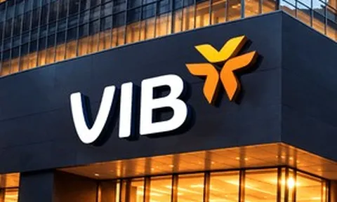 Biến động mới tại VIB: Lộ diện nhóm cổ đông sở hữu hơn 8,6% vốn