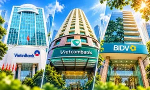 Ngoài Nhà nước, 3 ông lớn BIDV, Vietcombank và VietinBank có những cổ đông chiến lược nào?
